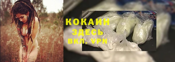 ешки Аркадак