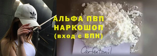 ешки Аркадак