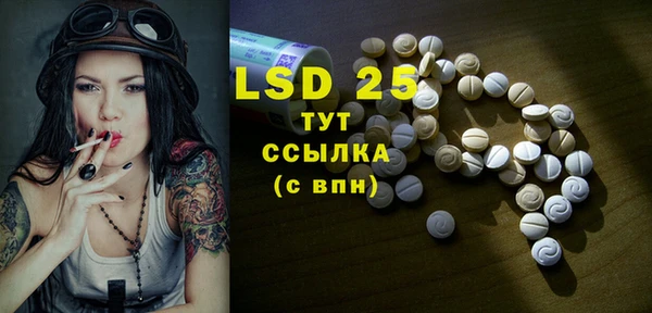 ешки Аркадак