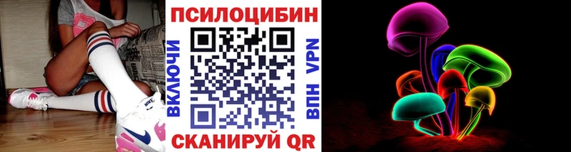 Галлюциногенные грибы Psilocybine cubensis  Купить  Аргун 